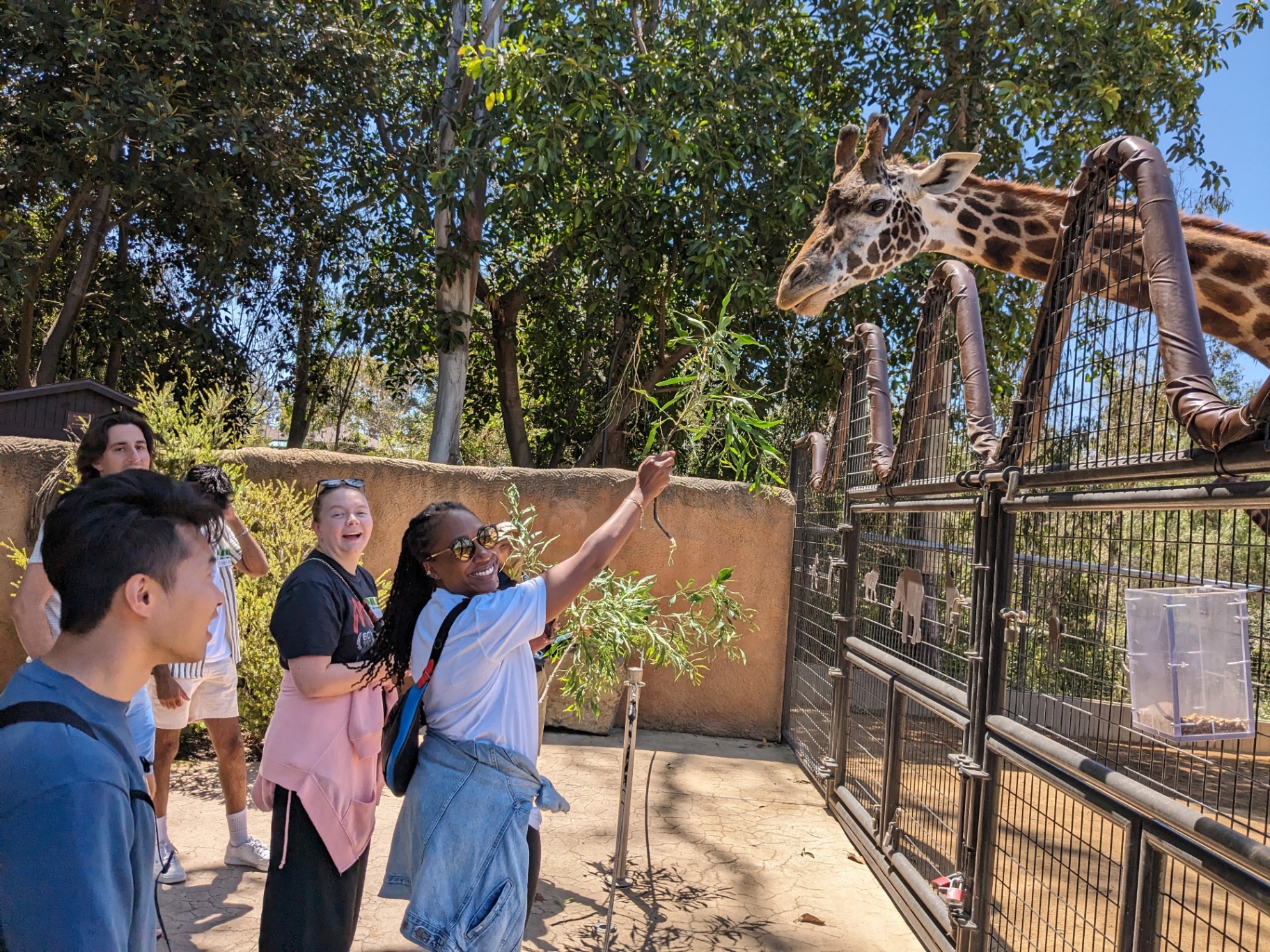 Team visit to the zoo