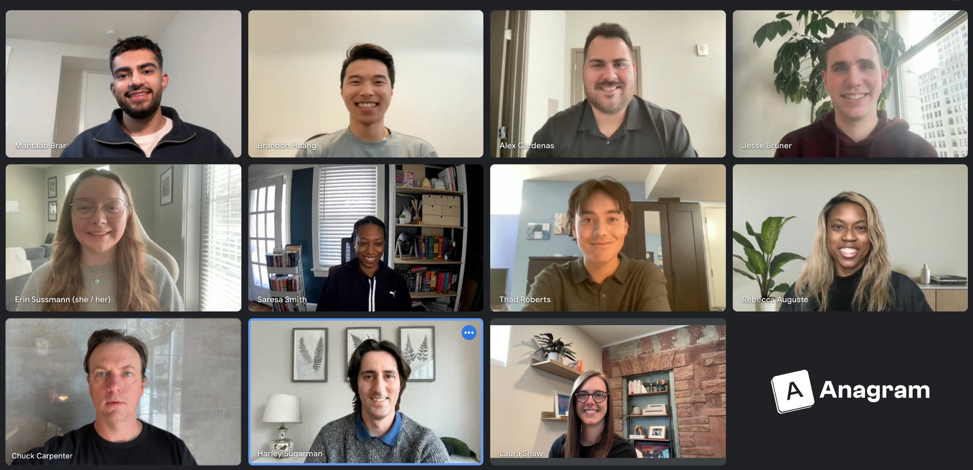 Team video call